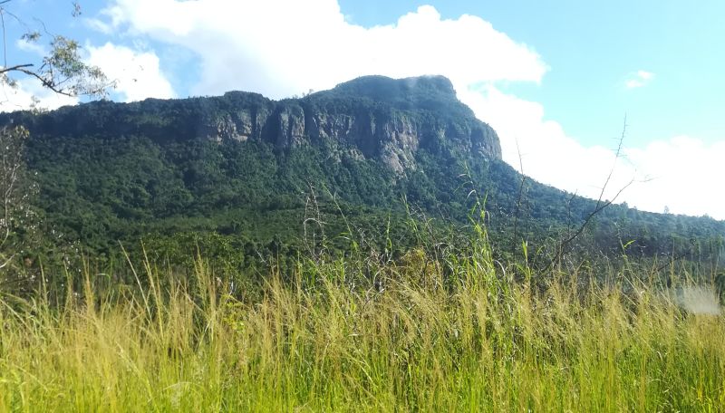 Dr Tony Swemmer guided a small group to a site where secondary grasslands are developing following the abandonment of plantation forestry on the Mariepskop escarpment.