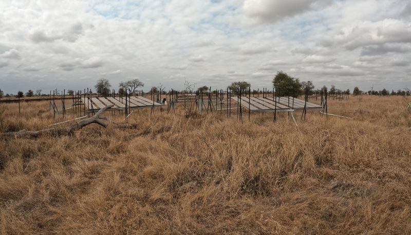 A second group of delegates visited the experimental burn plots in the Kruger National Park, which are among the longest ongoing fire manipulation trials in the world.